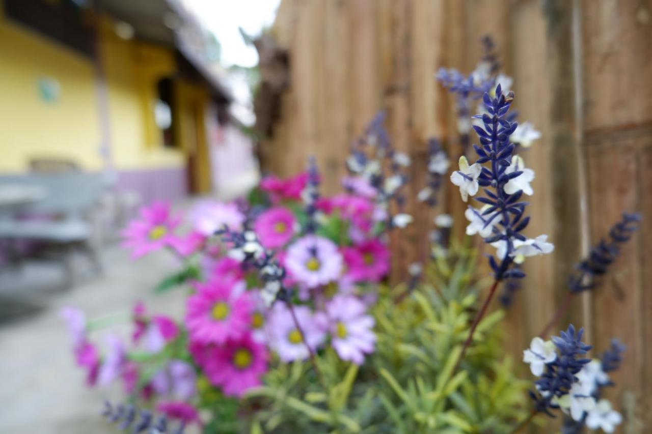 Marina Hut Guest House Ко-Ланта Экстерьер фото